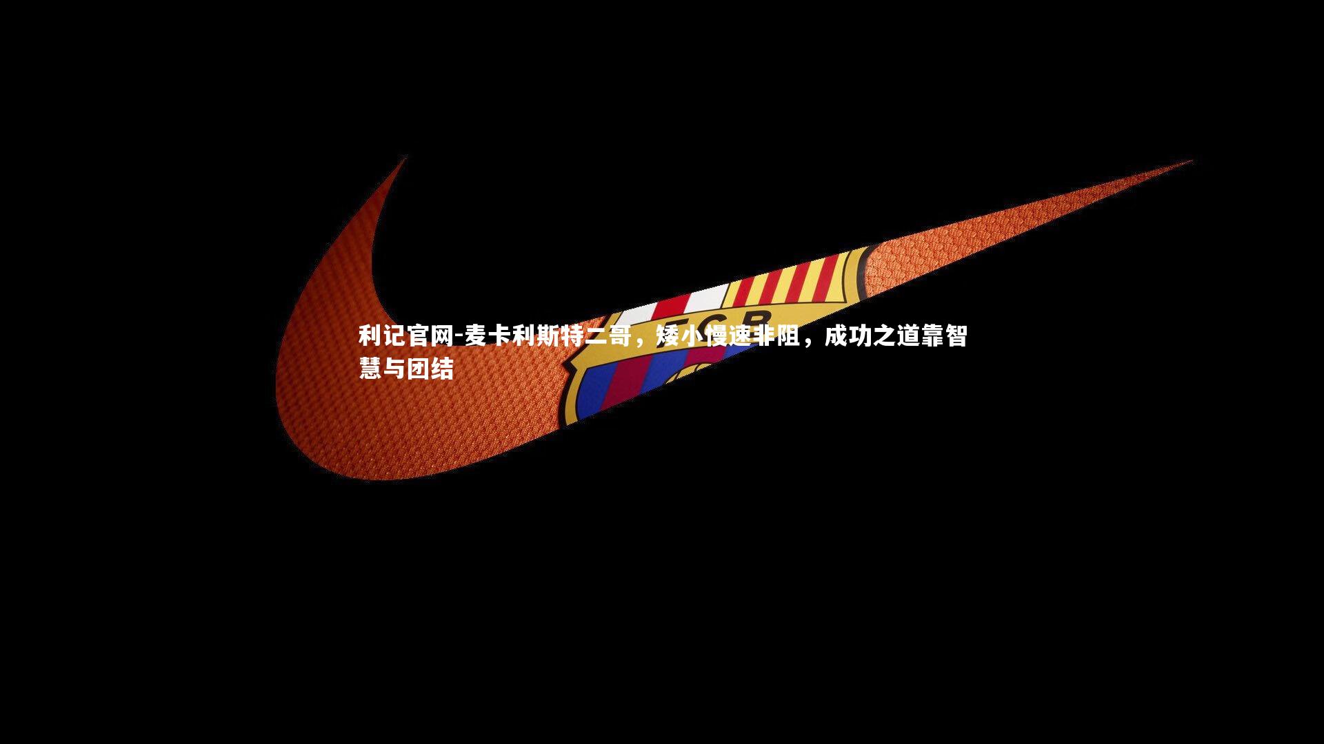 麦卡利斯特二哥,矮小慢速非阻,成功之道靠智慧与团结